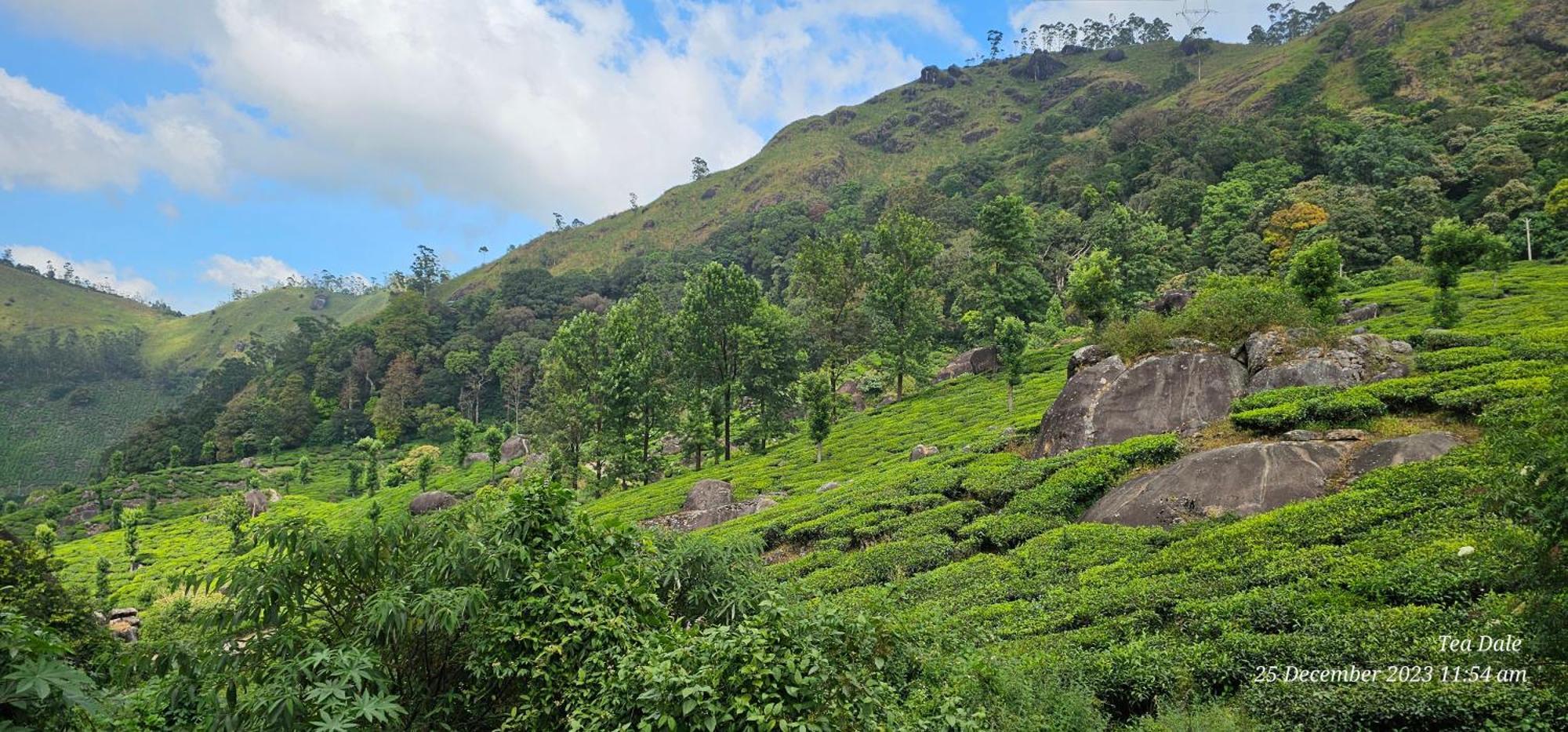 Tea Dale - All Rooms With Tea Estate View Мунар Екстериор снимка