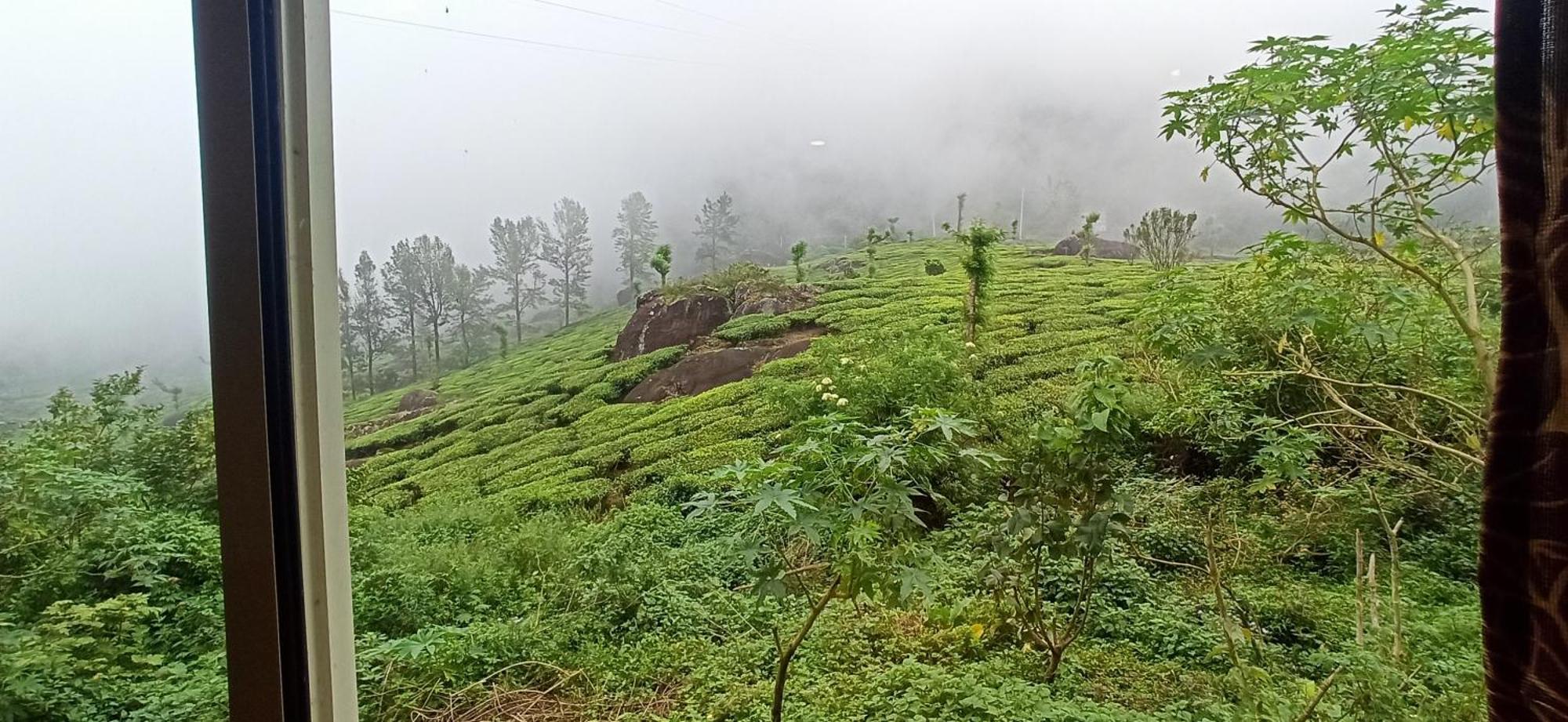Tea Dale - All Rooms With Tea Estate View Мунар Екстериор снимка