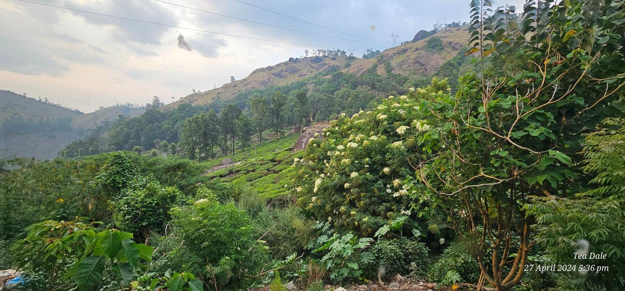 Tea Dale - All Rooms With Tea Estate View Мунар Екстериор снимка