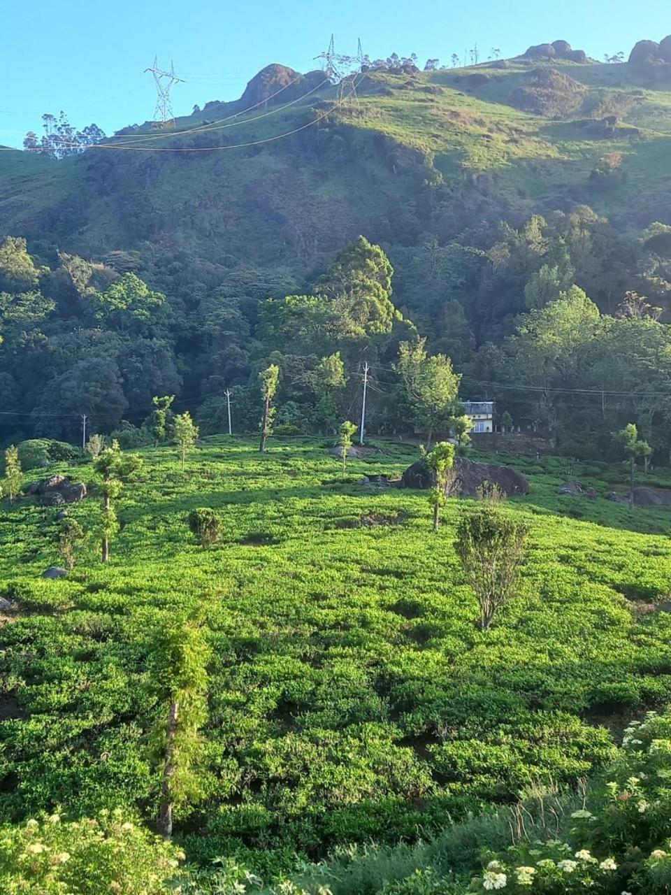 Tea Dale - All Rooms With Tea Estate View Мунар Стая снимка