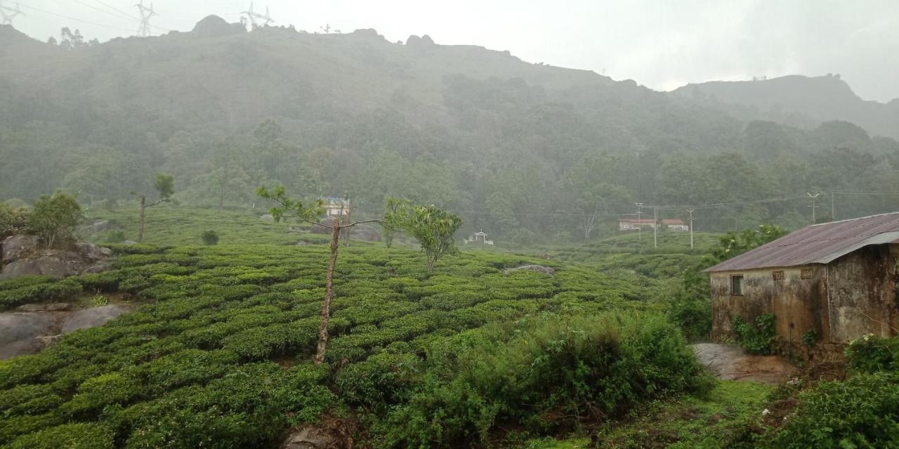 Tea Dale - All Rooms With Tea Estate View Мунар Екстериор снимка