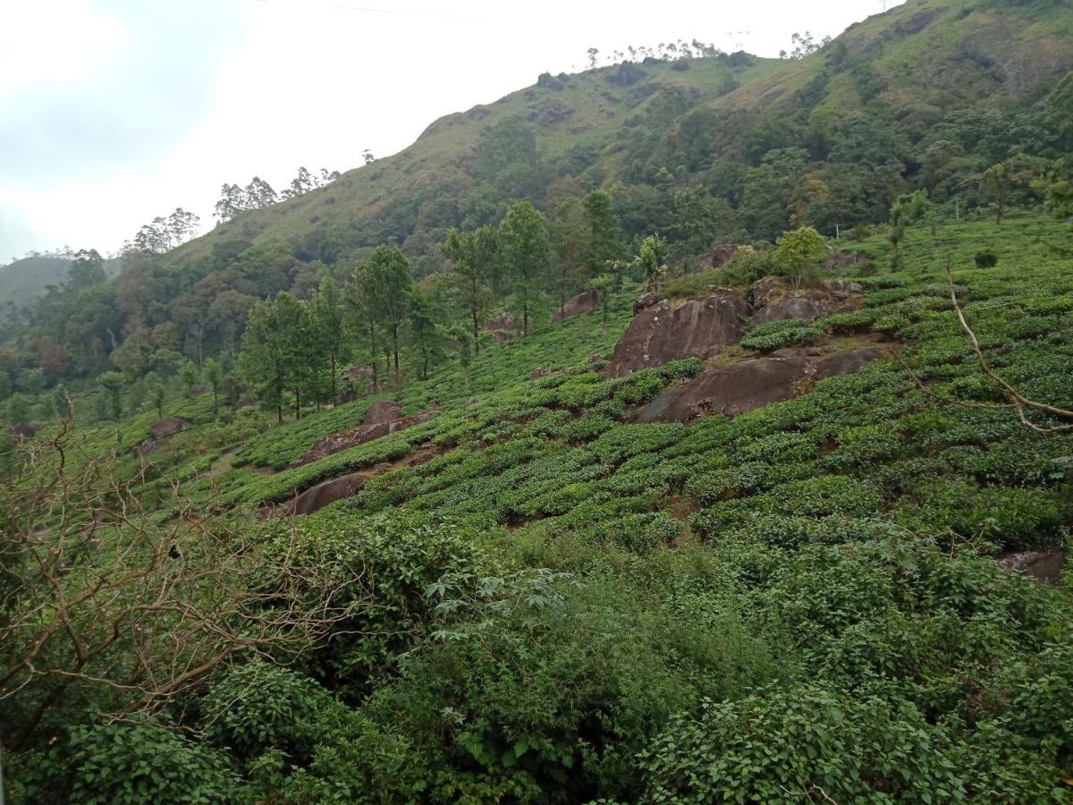 Tea Dale - All Rooms With Tea Estate View Мунар Екстериор снимка