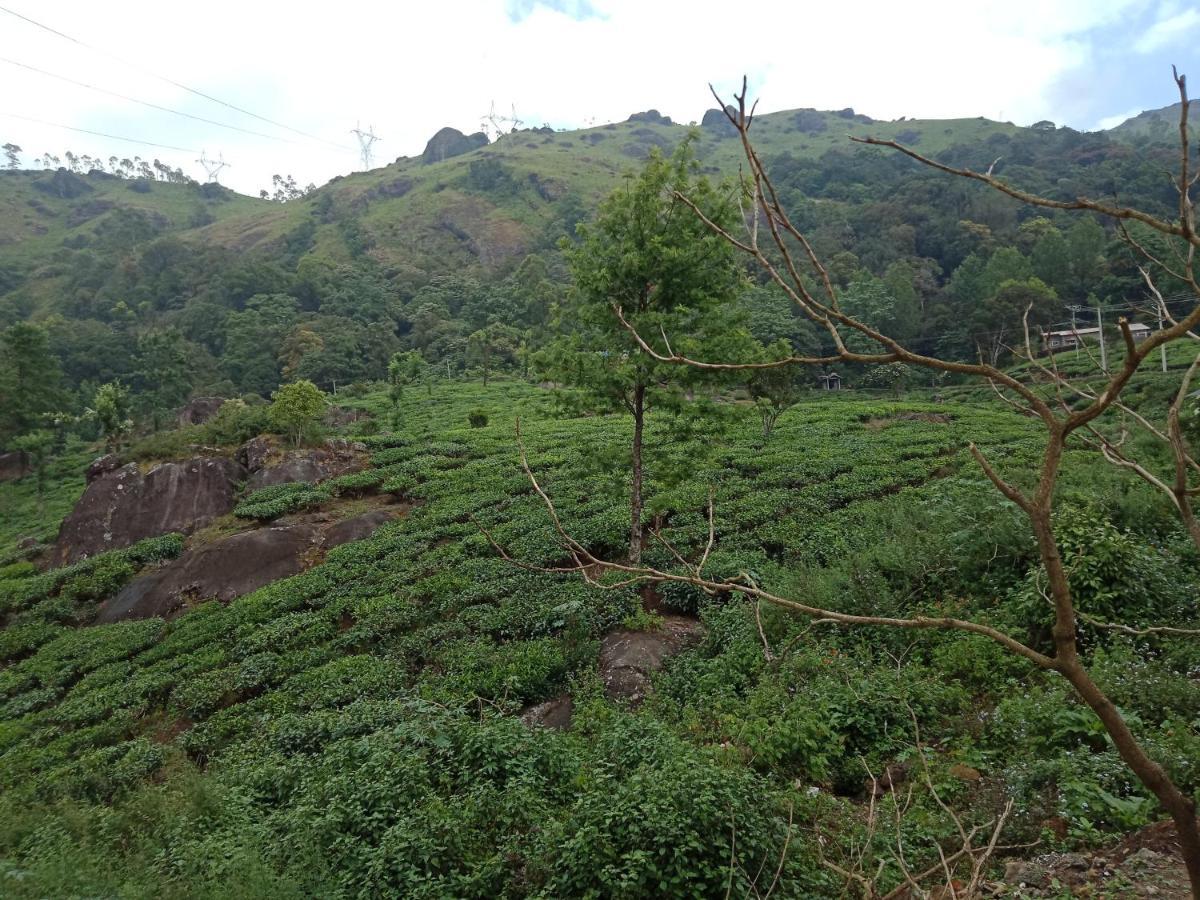 Tea Dale - All Rooms With Tea Estate View Мунар Екстериор снимка